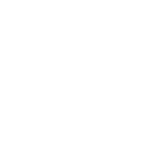 Platinum France Investissements